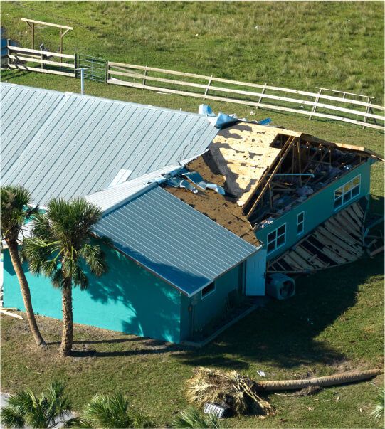 Specialized services image