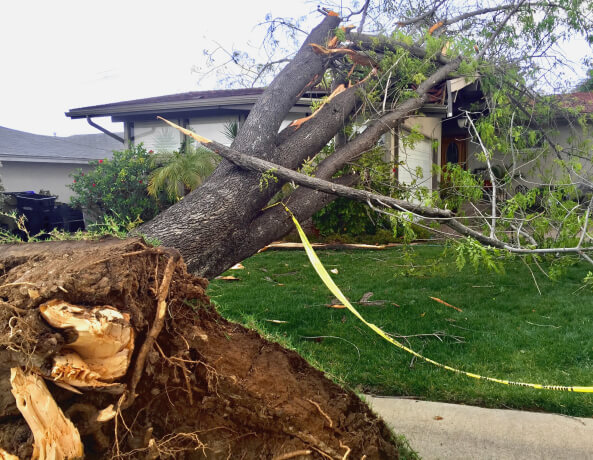 Structural Analysis Image