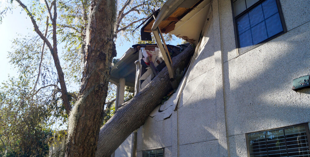 Common Types of Storm Damage in the Southeastern US